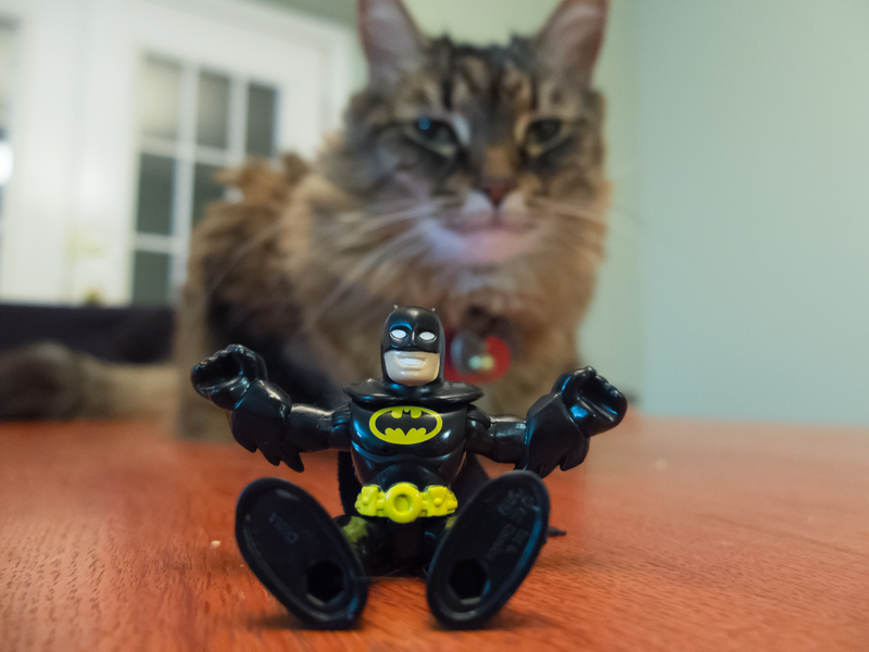 Illustration for article titled BATMAN!! (bored on a Friday night)